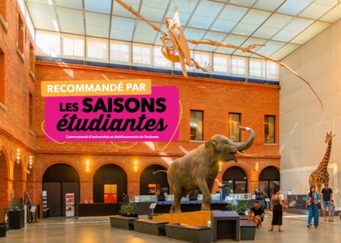 Musées et monuments gratuits Toulouse